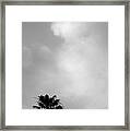 Palm Tree And Clouds Framed Print