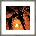 Palm Tree Silhouette Framed Print