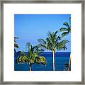 Palm Tree Tops Framed Print