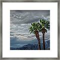 Palm Trees By Borrego Springs In The Anza-borrego Desert State Park Framed Print