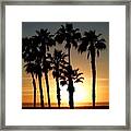 Palm Treescape At Sunset Framed Print