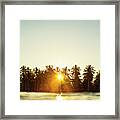 Palms And Rays Framed Print