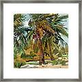 Palms In Key West Framed Print