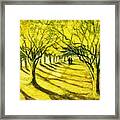 Palo Verde Pathway Framed Print