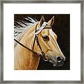 Palomino Horse Portrait Framed Print