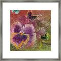 Pansy Butterfly Asianesque Border Framed Print