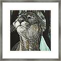 Panther, Cool Framed Print