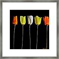 Paper Tulips Five Framed Print