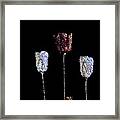 Paper Tulips Three Beads Framed Print