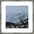 Paradise Mount Rainier Framed Print