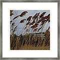 Parc Jarry 1 Framed Print