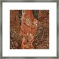 Paria View - Bryce Canyon Framed Print