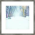Park Avenue In Winter With Snow Framed Print
