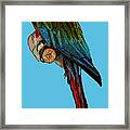 Parrot Art Framed Print