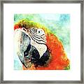 Parrot Art Framed Print
