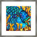 Parrotfish And Fire Coral Framed Print