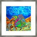 Parrotfish And Smallmouth Grunt Framed Print