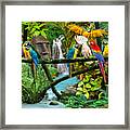 Parrots Of The Hidden Jungle Framed Print