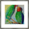 Parrots Paradise Contemporary Framed Print