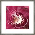 Passionate Purple Framed Print