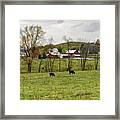 Pastoral Framed Print