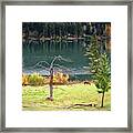 Pasture And Geese Framed Print