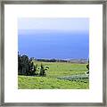Pasture By The Ocean Framed Print