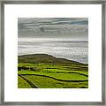 Pastures At The Coast Of Ireland Framed Print