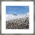 Patches Of Snow Framed Print