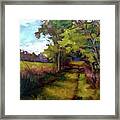 Path Between Fields Framed Print