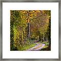 Path Through Autumn Forest Framed Print
