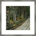 Path Through Koyasan Okunoin Cemetery, Japan Framed Print
