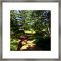 Path To Civilisation Framed Print