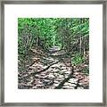 Path To Greatness Framed Print