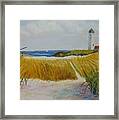 Path To Lighthouse Framed Print