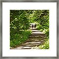 Path To Paradise Framed Print