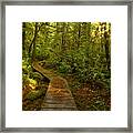 Path To Serenity Framed Print