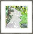 Path To The Falls Framed Print