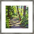Path To The Lake Framed Print