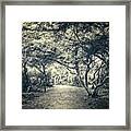 Path To The Unknown Framed Print