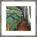 Pathway Home Through Mountain Laurel Blooms Framed Print