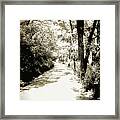 Pathway Framed Print