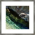 Pathway To Emerald Pool Framed Print
