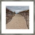 Pathway To The Beach Framed Print