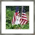 Patriotic Cat Framed Print