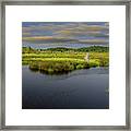 Pattern Of A Salt Marsh Framed Print