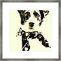 Paw Prints Framed Print