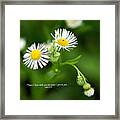 Peace I Leave With You Framed Print