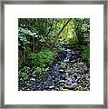Peaceful Flowing Creek Framed Print