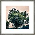 Peaceful Place Along Busy Highway Framed Print